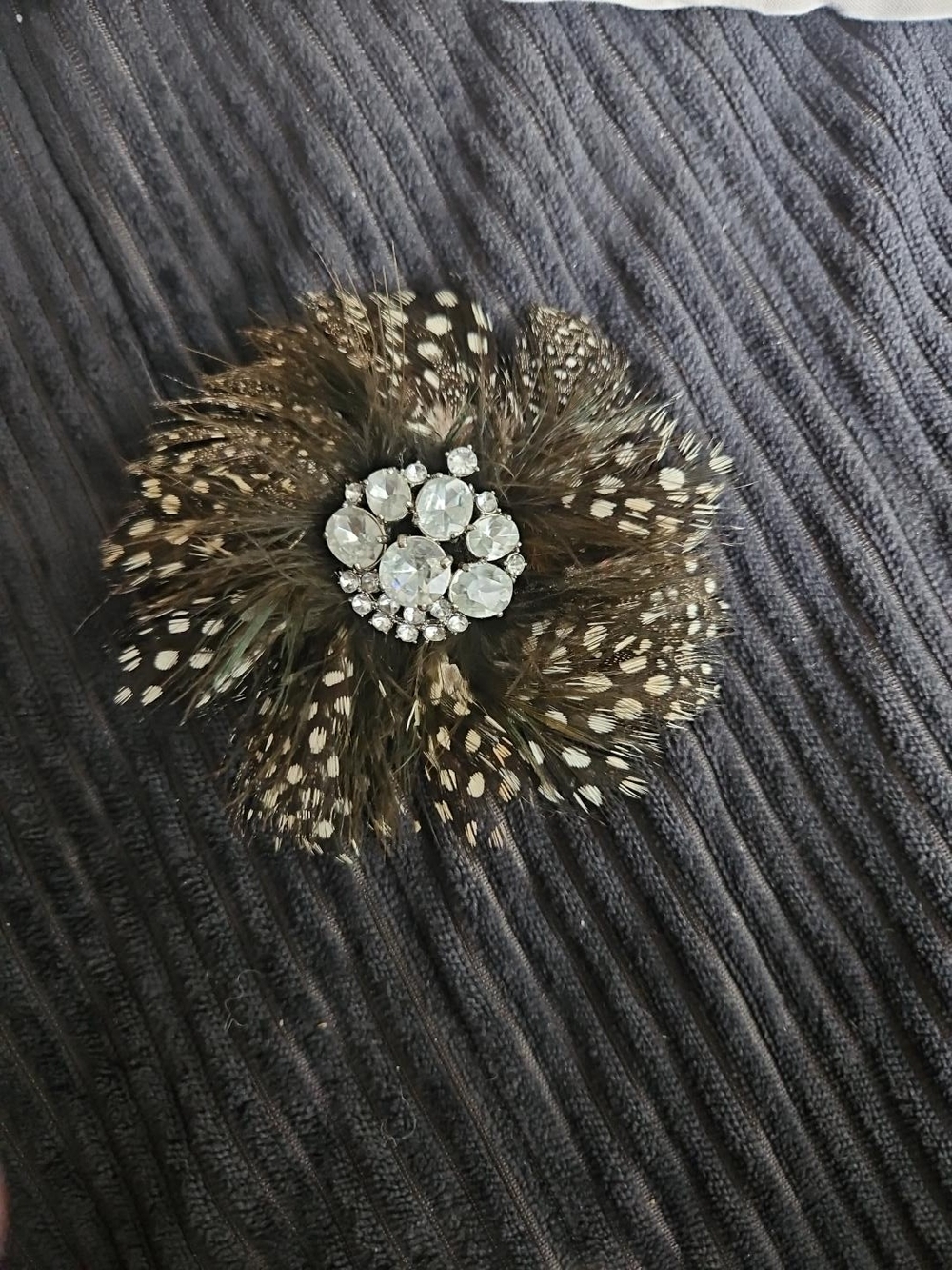 Stella & Dot LaCoco Plume Feather Rhinestone Brooch Retired Statement Pin